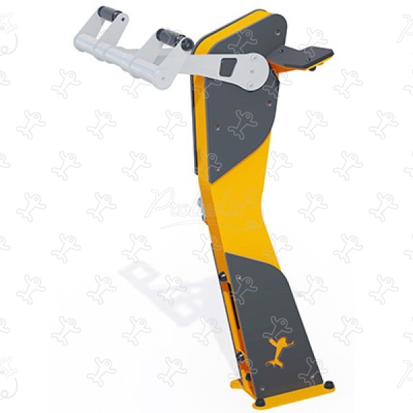 Bicep curl J37228® sport and fitness acti’fun acti’fit image 3d