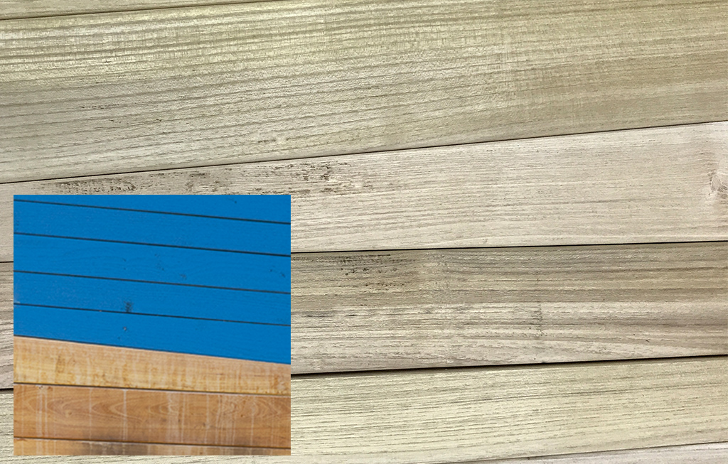 The boards
