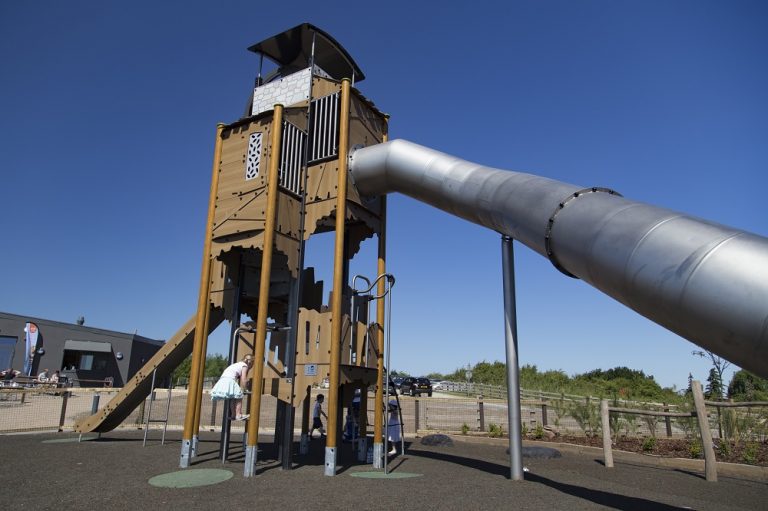 Gedling Country Park