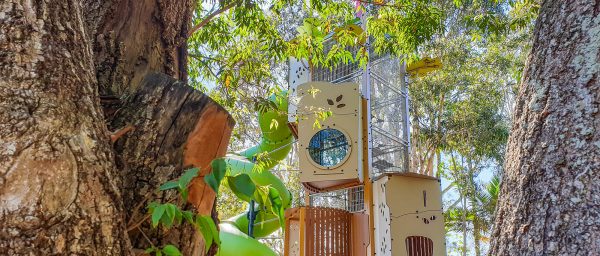 Our mission, our values