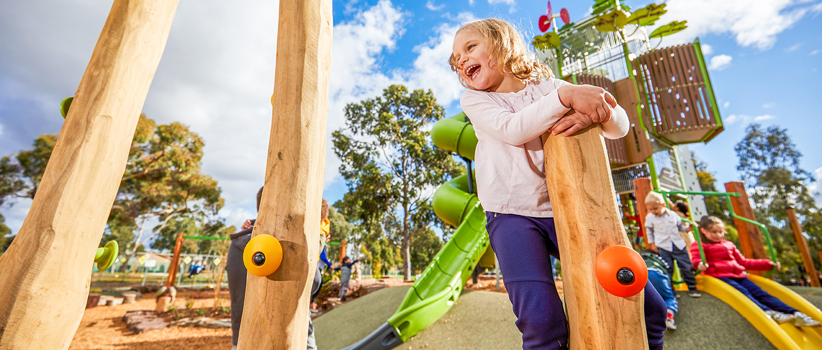 Sustainable natural wood: Robinia and Douglas