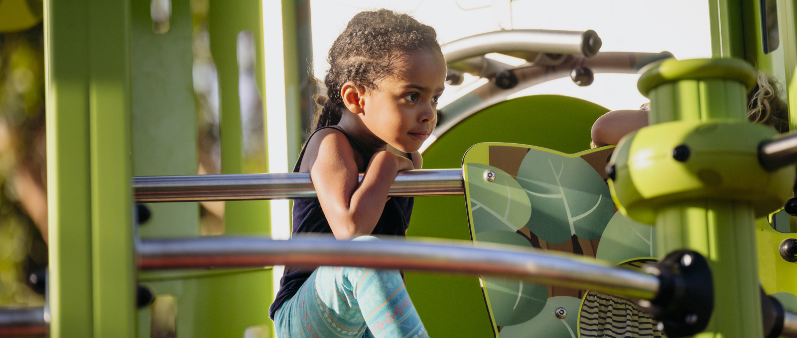 Cornerstone 2: Fight against climate change