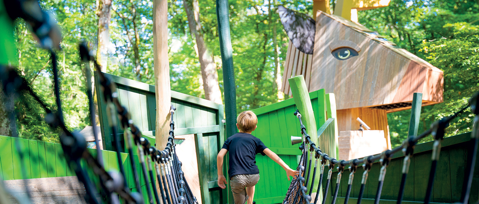 Sustainable natural wood