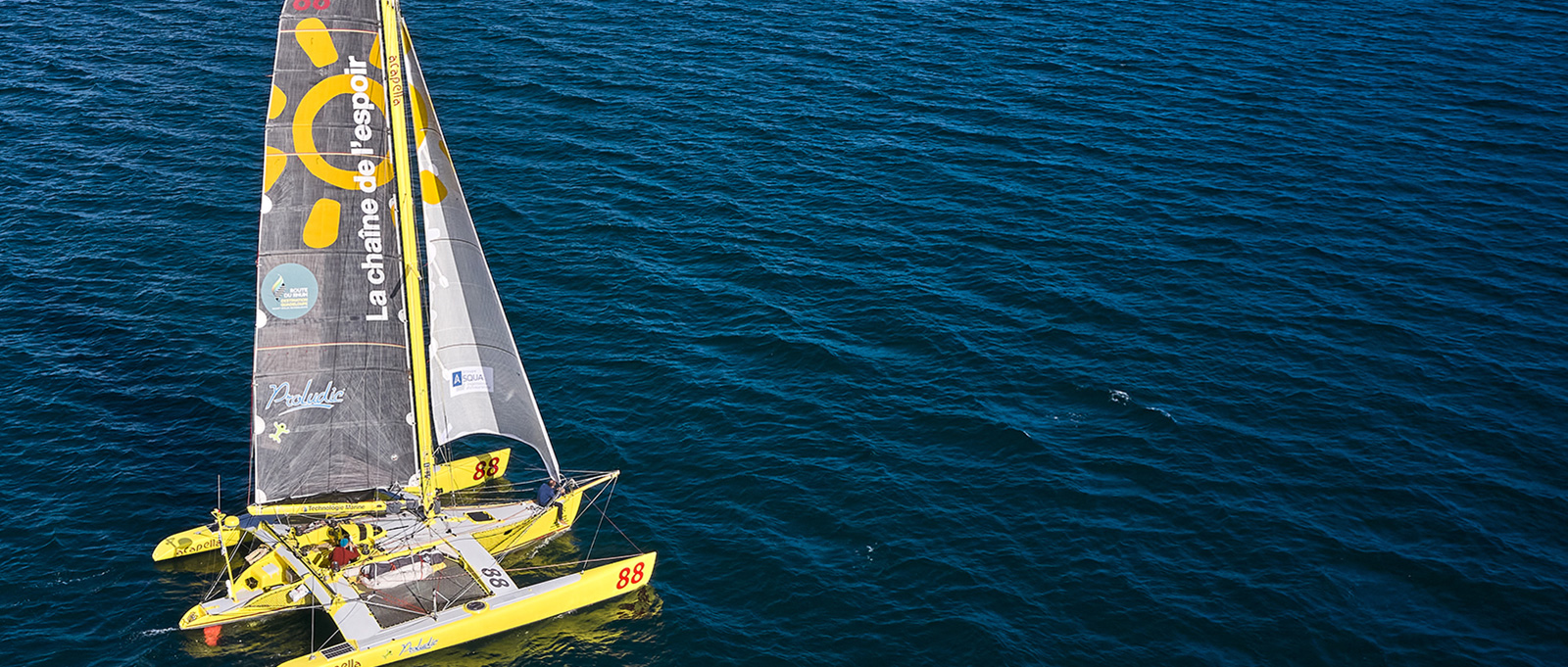 Proludic – La Chaîne de l’Espoir – Acapella